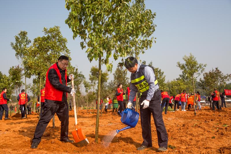 ����777(�й�)����