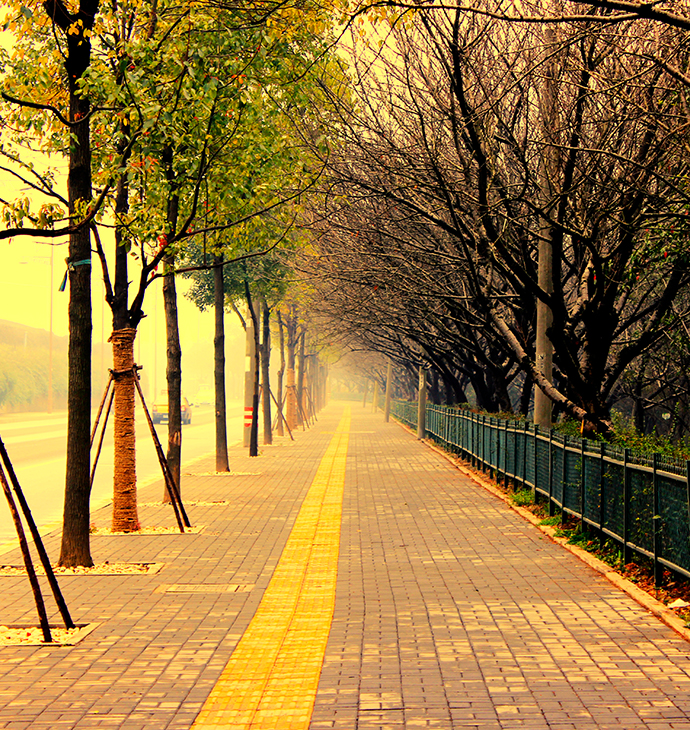 �㶫��ɽ��ׯ�����������