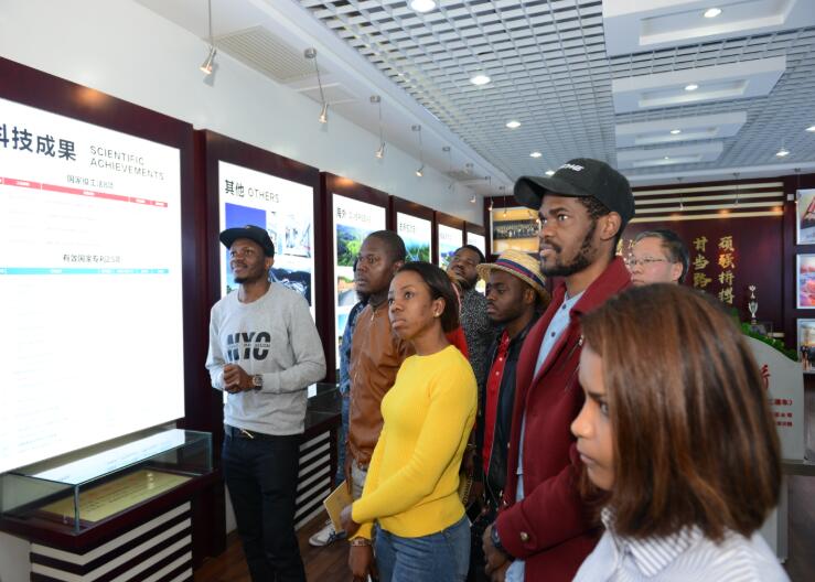 ����777(�й�)����