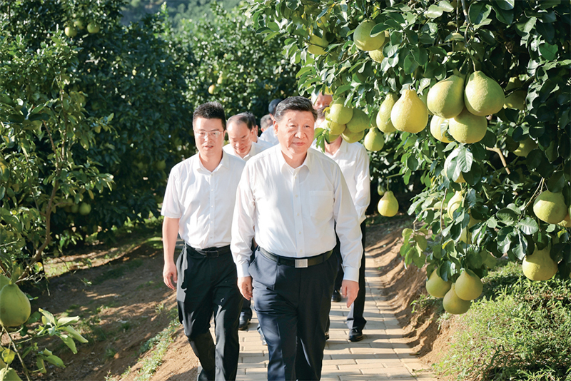 ����777(�й�)����